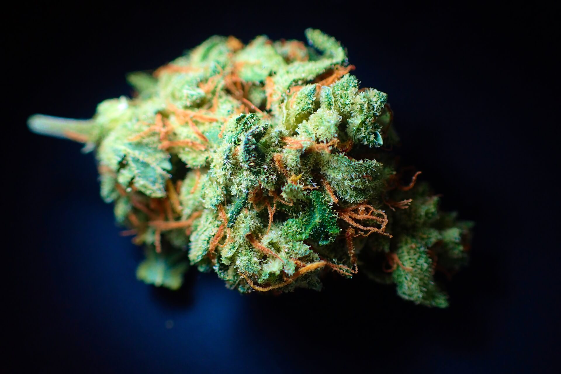 Wie-THC-Cannabis-CBD