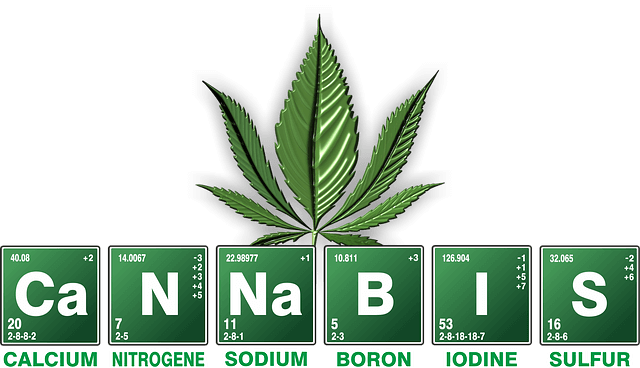 Bestandteile-Cannabis